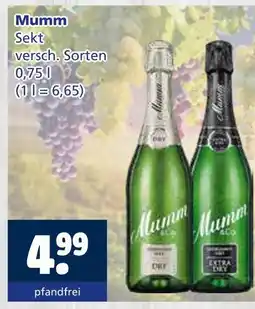 Getränkewelt Mumm sekt Angebot