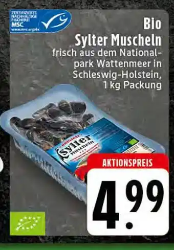 Edeka Sylter muscheln Angebot