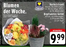 Edeka Edeka herzstücke herbststrauß Angebot
