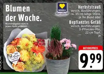 Edeka Edeka herzstücke herbststrauß Angebot