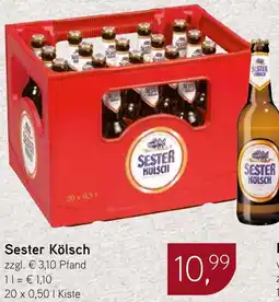 Dornseifer Sester Kölsch Angebot