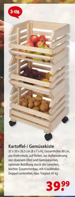 bauSpezi Kartoffel-/ gemüsekiste Angebot