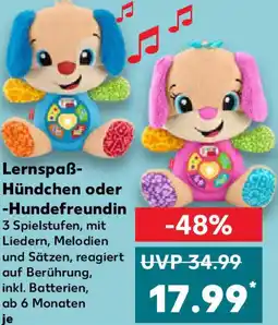 Kaufland fisher-price Lernspaß- Hündchen oder -Hundefreundin Angebot