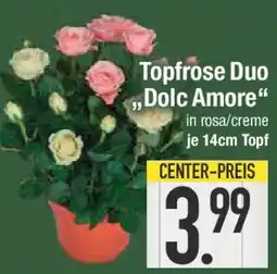 E-Center Topfrose Duo „Dolc Amore" Angebot