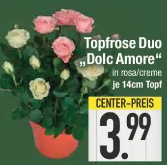 E-Center Topfrose Duo „Dolc Amore" Angebot