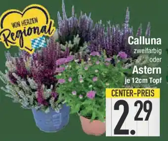 E-Center Calluna Angebot