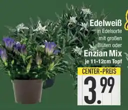 E-Center Edelweiß Angebot