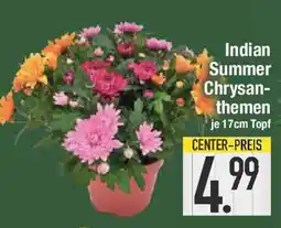 E-Center Indian Summer Chrysan- themen Angebot