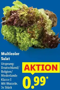 Lidl Multicolor Salat Angebot