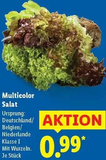Lidl Multicolor Salat Angebot