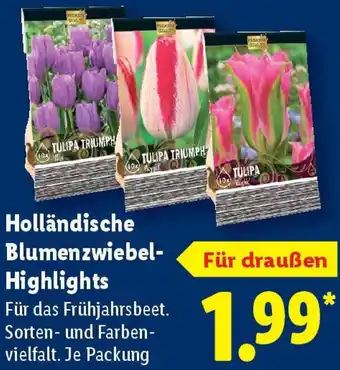 Lidl Holländische Blumenzwiebel Highlights Angebot