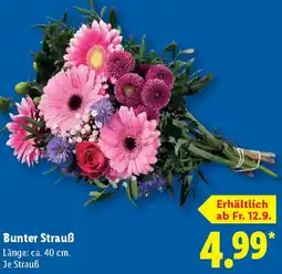 Lidl Bunter Strauß Angebot
