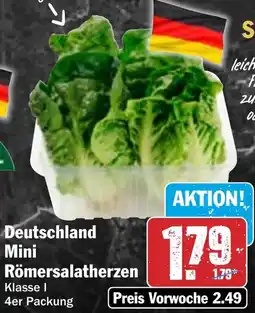 HIT Deutschland Mini Römersalatherzen Angebot
