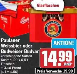 HIT Paulaner Weissbier oder Budweiser Budvar Angebot