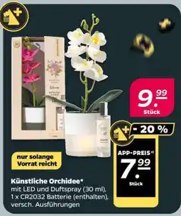 NETTO Künstliche Orchidee Angebot