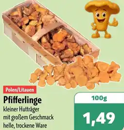 Aktiv Irma Pfifferlinge Angebot