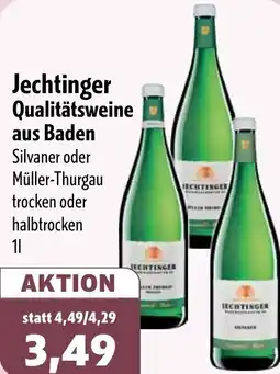 Aktiv Irma Jechtinger Qualitätsweine aus Baden Angebot