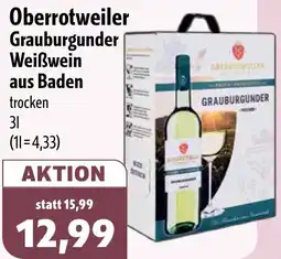 Aktiv Irma Oberrotweiler Grauburgunder Weißwein aus Baden Angebot