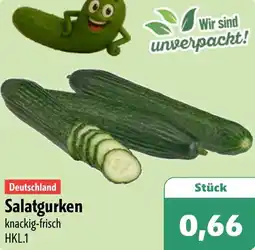 Aktiv Irma Deutschland Salatgurken Angebot
