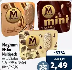 Aktiv Irma Magnum Eis im Multipack Angebot