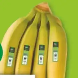 Marktkauf Edeka Bio Bio-Bananen Angebot