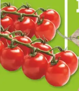 Marktkauf Edeka Mein Land Mini Rispentomaten Angebot