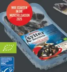 Marktkauf Sylter Muscheln Bio Angebot