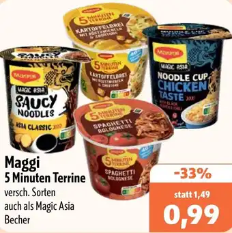 Aktiv Irma Maggi 5 Minuten Terrine Angebot