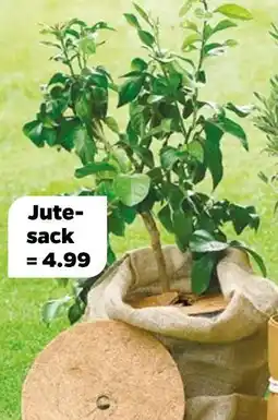 NETTO Jutesack Angebot
