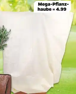 NETTO Mega-pflanzhaube Angebot