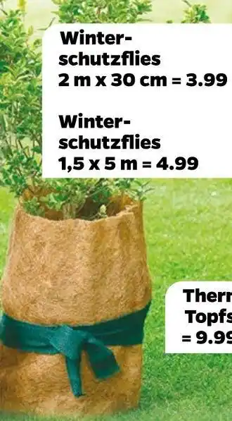 NETTO Winterschutzflies Angebot