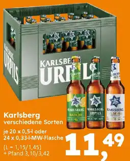 Globus Baumarkt Karlsberg Angebot
