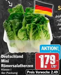 AEZ Deutschland Mini Römersalatherzen Angebot