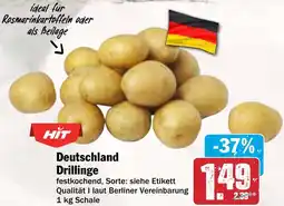 AEZ Deutschland Drillinge Angebot