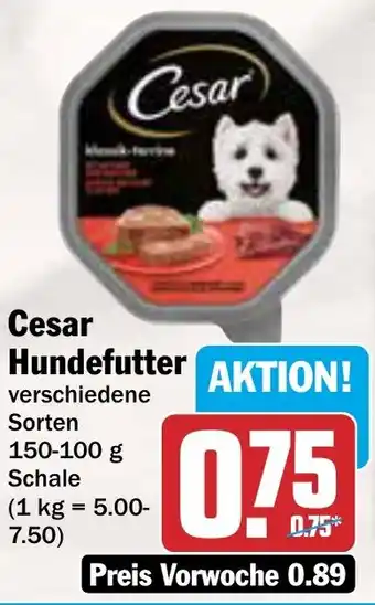 AEZ Cesar Hundefutter Angebot