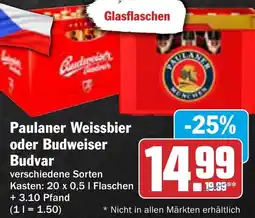 AEZ Paulaner Weissbier oder Budweiser Budvar Angebot