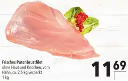 CITTI Markt Frisches Putenbrustfilet Angebot