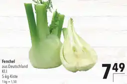 CITTI Markt Fenchel Angebot