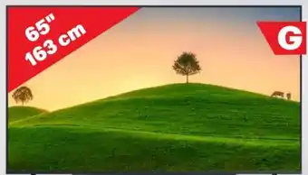 Handelshof Samsung LED-TV GU65CU6979UXZG Angebot