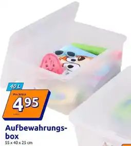 Action Aufbewahrungsbox Angebot