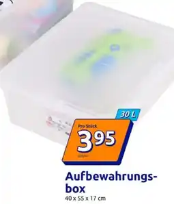 Action Aufbewahrungsbox Angebot