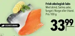 CITTI Markt Frisk økologisk laks Angebot