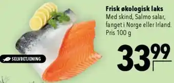 CITTI Markt Frisk økologisk laks Angebot