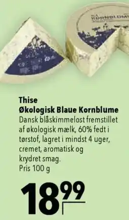 CITTI Markt Thise Økologisk Blaue Kornblume Angebot