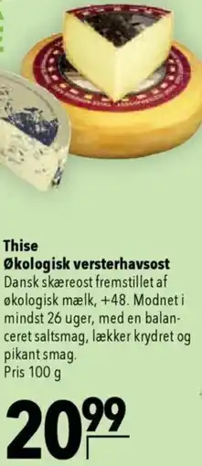 CITTI Markt Thise Økologisk versterhavsost Angebot