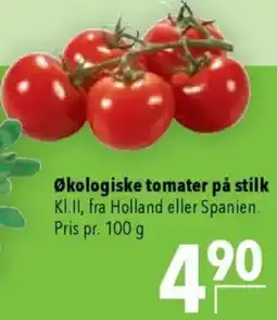 CITTI Markt Økologiske tomater på stilk Angebot