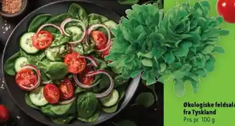 CITTI Markt Økologiske feldsalat fra Tyskland Angebot
