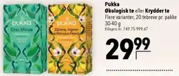 CITTI Markt Pukka Økologisk te eller Krydder te Angebot