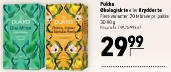 CITTI Markt Pukka Økologisk te eller Krydder te Angebot