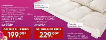 Galeria Sweet Dreams Kassettenbett Angebot
